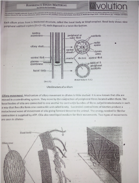 ZOOLOGY OPTIONAL BY EVOLUTION FOR IAS AND IFOS PRINTED NOTES